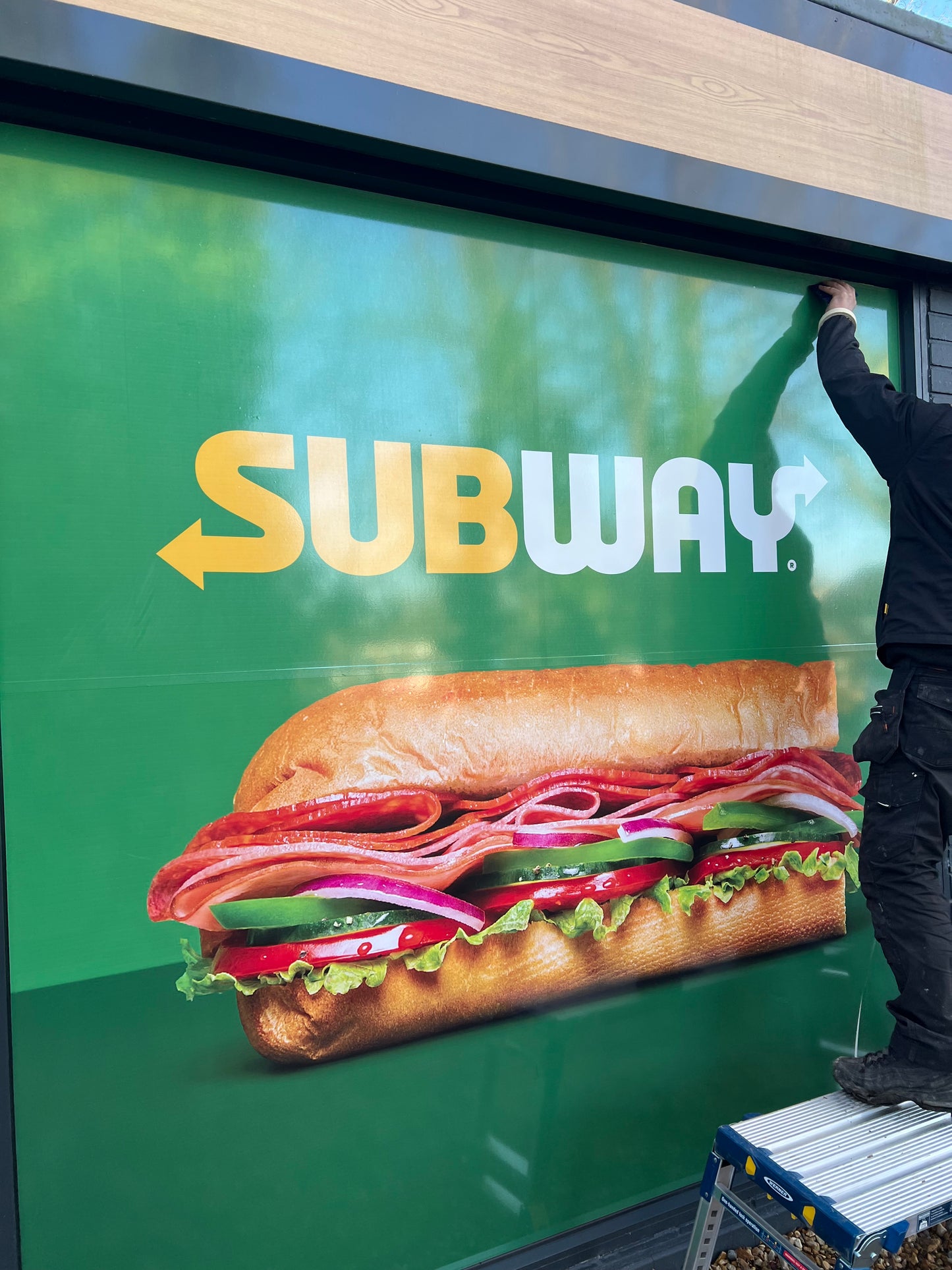 Window Graphics
